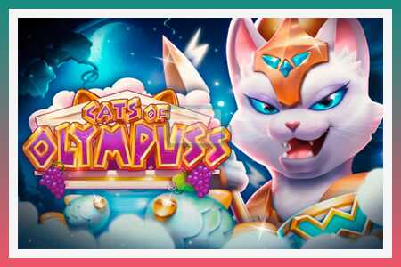 Mesin slot Cats of Olympuss