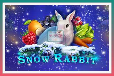 स्लॉट मशीन Snow Rabbit