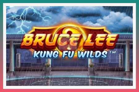 Игровой автомат Bruce Lee Kung Fu Wilds